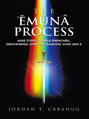 cover image of The Emuna Process